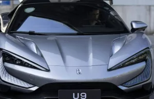 BYD receives billions in state subsidies BYD receives billions in state subsidies