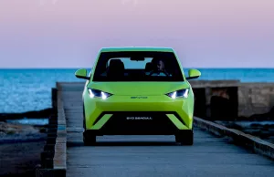 China gave BYD an incredible $3.7 billion to ‘win’ the EV race China gave BYD an incredible $3.7 billion to 'win' the EV race