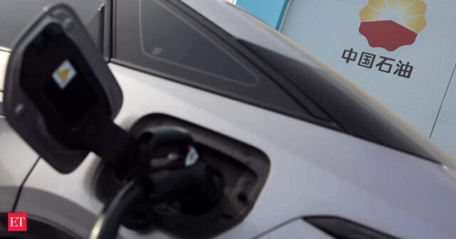 China says its EV firms do not rely on subsidies to gain competitive advantage