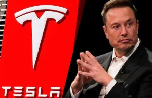 Elon Musk teases Tesla’s full self-driving potential in China Elon Musk teases Tesla's full self-driving potential in China