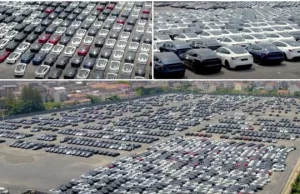 Tesla cuts prices around the world: What you need to know Tesla cuts prices around the world: What you need to know