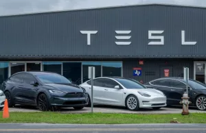 Tesla is playing a brutal price game of ‘how low can you go’ with its Chinese EV rivals Tesla is playing a brutal price game of 'how low can you go' with its Chinese EV rivals