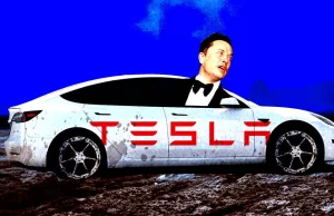 Tesla is stuck in the mud Tesla is stuck in the mud
