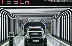 Tesla woos China customers with cheaper cars after Musk defers India visit Tesla woos China customers with cheaper cars after Musk defers India visit