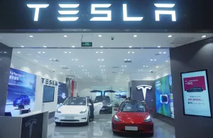 The future of Tesla is in China The future of Tesla is in China