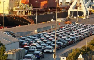 Vehicle imports clogging up terminals at European auto ports – The Loadstar Vehicle imports clogging up terminals at European auto ports - The Loadstar