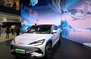 BYD revs up EV challenge to VW with Euro 2024 sponsorship BYD revs up EV challenge to VW with Euro 2024 sponsorship