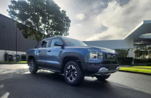 Chinese cars poised for 33% of global market in 2030: report Chinese cars poised for 33% of global market in 2030: report