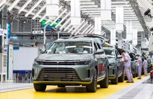 Nation’s NEV sector drives into fast lane Nation's NEV sector drives into fast lane