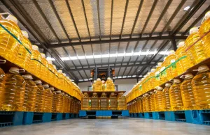 A contaminated cooking oil scandal in China has set off a major government probe A contaminated cooking oil scandal in China has set off a major government probe