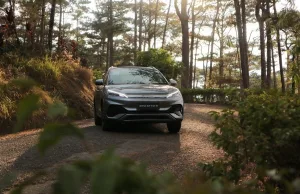 ACMobility to grow 1 tree per BYD car sold ACMobility to grow 1 tree per BYD car sold