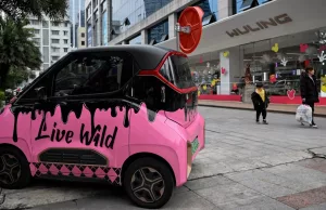 China doubles cash subsidies to propel EV sales as economic growth falls short China doubles cash subsidies to propel EV sales as economic growth falls short