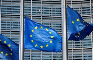EU probes into Chinese subsidies and imports EU probes into Chinese subsidies and imports