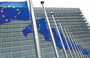 EU slaps Chinese EVs with tariffs of up to 38pc EU slaps Chinese EVs with tariffs of up to 38pc