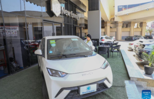 Feature: Popularity of Chinese-made EVs grow rapidly in Egypt Feature: Popularity of Chinese-made EVs grow rapidly in Egypt