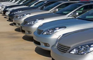 International Energy Agency Gives Insight into the EV Market International Energy Agency Gives Insight into the EV Market