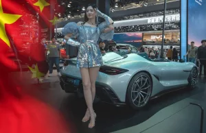 Rare earth replacements for EVs don’t measure up – for now Rare earth replacements for EVs don't measure up - for now