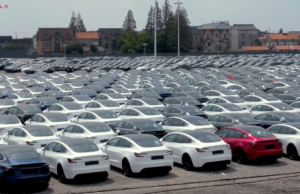 Tesla China Sees 59,261 Sales in June 2024 Tesla China Sees 59,261 Sales in June 2024