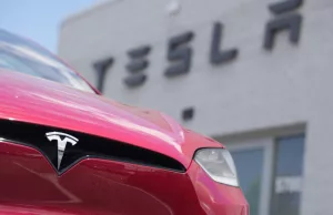 There is ‘still a place’ for Tesla in China: Dan Levy There is 'still a place' for Tesla in China: Dan Levy