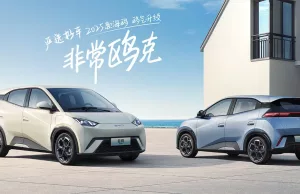 BYD launches 2025 Seagull with unchanged starting price of $9,650 BYD launches 2025 Seagull with unchanged starting price of $9,650