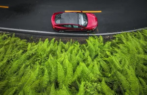 China court finds Tesla braking system “effective without any faults:” report China court finds Tesla braking system “effective without any faults:” report