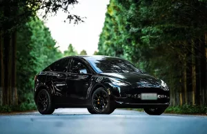 Tesla Model Y leads China’s BEV market in 2024 as registrations surge Tesla Model Y leads China's BEV market in 2024 as registrations surge