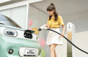 Youth Edition of Wuling Hongguang Mini EV launched with fast charging and dual airbags Youth Edition of Wuling Hongguang Mini EV launched with fast charging and dual airbags