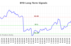 (BYD) Technical Data (BYD) Technical Data