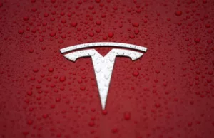 Tesla China Sales Rise as Government Subsidies Lift Sentiment Tesla China Sales Rise as Government Subsidies Lift Sentiment