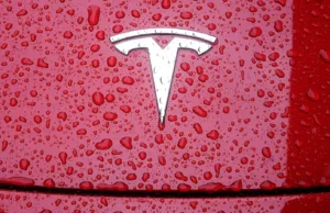 Tesla plans six-seat Model Y, production slated for 2025 in China: Report Tesla plans six-seat Model Y, production slated for 2025 in China: Report