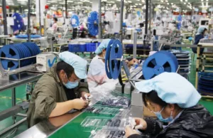 Data Sheet: Wildly profitable Data Sheet: Wildly profitable