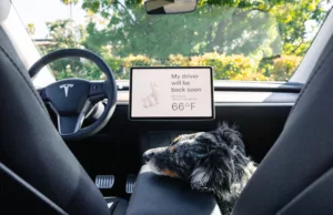 Fido Friendliness Could Enhance The Next Tesla Model Y Refresh Fido Friendliness Could Enhance The Next Tesla Model Y Refresh