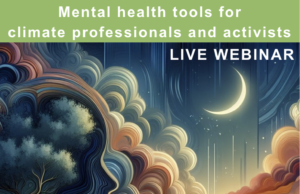 What’s Up? BYD 3Q Financials … As Expected What’s Up? BYD 3Q Financials … As Expected