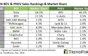 Tesla pips BYD as global EV sales edge higher in 2024, plug in hybrids surge Tesla pips BYD as global EV sales edge higher in 2024, plug in hybrids surge