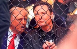 China weighs Elon Musk role in TikTok deal China weighs Elon Musk role in TikTok deal