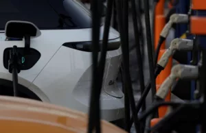 Chinese electric vehicles gain market share in Norway Chinese electric vehicles gain market share in Norway