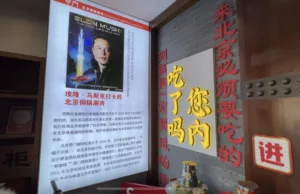Chinese fans weigh in as Elon Musk set to join Trump’s new government Chinese fans weigh in as Elon Musk set to join Trump’s new government