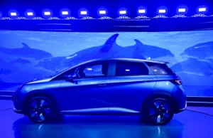 Dolphin Spurs BYD Sales, But Negatives Might Encourage Europeans Dolphin Spurs BYD Sales, But Negatives Might Encourage Europeans