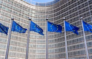 Tesla and BMW sue EU over Chinese-made electric vehicle tariffs Tesla and BMW sue EU over Chinese-made electric vehicle tariffs