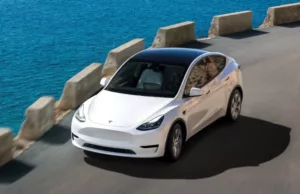 Tesla Model Y became the sales champion in Beijing and Shanghai in 2024 Tesla Model Y became the sales champion in Beijing and Shanghai in 2024