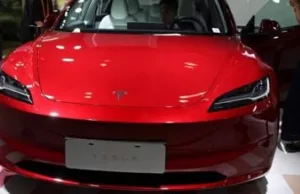 Tesla’s China sales hit record high in 2024, bucking global decline Tesla's China sales hit record high in 2024, bucking global decline