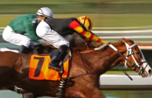 TSLA vs. BYDDY: The Fierce Battle for 2025 EV Dominance TSLA vs. BYDDY: The Fierce Battle for 2025 EV Dominance