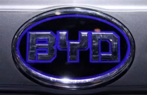 BYD’s sales climbed 49.2% Y/Y in January 2025 but slipped 41.6% sequentially BYD's sales climbed 49.2% Y/Y in January 2025 but slipped 41.6% sequentially