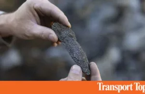 Musk Fights Tariffs on Graphite From China Musk Fights Tariffs on Graphite From China