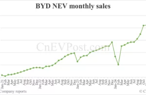 BYD NEV sales rebound to 322,846 in Feb, overseas sales set new record BYD NEV sales rebound to 322,846 in Feb, overseas sales set new record
