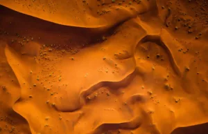 Effects of US tariffs on the automotive industry Effects of US tariffs on the automotive industry