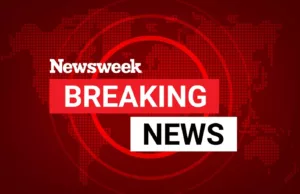 Elon Musk threatens Pentagon leakers after China war story Elon Musk threatens Pentagon leakers after China war story