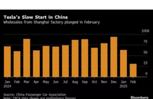 Tesla China Shipments Halve in February, Compounding Slow Start Tesla China Shipments Halve in February, Compounding Slow Start