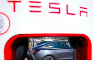 Tesla EV sales in China fell 49% in February Tesla EV sales in China fell 49% in February