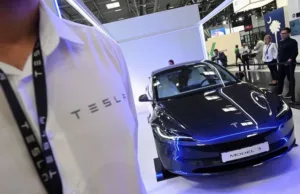 Tesla Planning Cheaper, Smaller Model Y to Boost China Sales Tesla Planning Cheaper, Smaller Model Y to Boost China Sales
